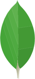 jubayer codes MongoDB